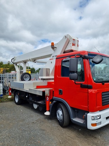 Cherry picker metre - cherry,