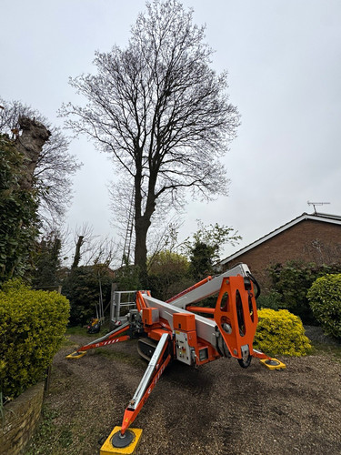 25m mewp cherry picker - 25m, mewp/cherry